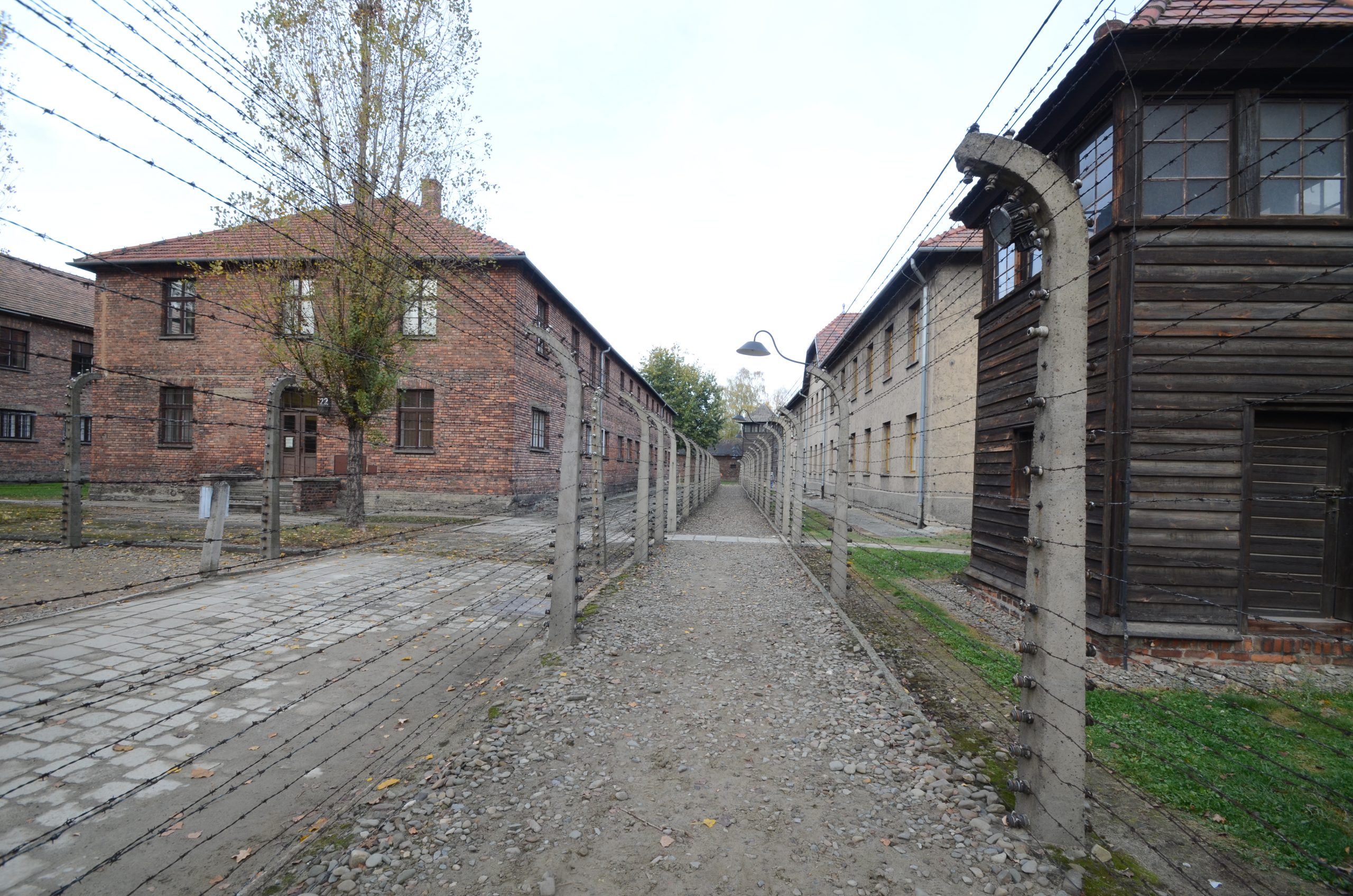 Bildungswerk Stenden Auschwitz weg